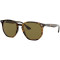 Ray-Ban RB4306 710/73