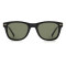 Pierre Cardin P.C.6242/S 807/QT