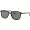 Ray-Ban Leonard RB2193 901/58 Polarized