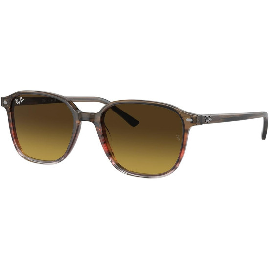 Ray-Ban  Leonard RB2193 138085