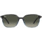 Ray-Ban  Leonard RB2193 138171