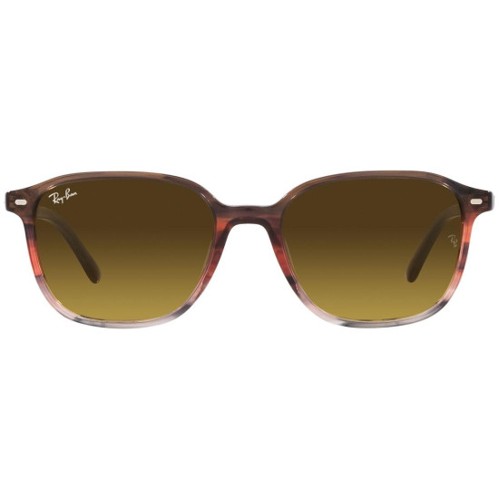 Ray-Ban  Leonard RB2193 138085