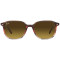 Ray-Ban  Leonard RB2193 138085