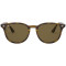 Ray-Ban RB4259 710/73