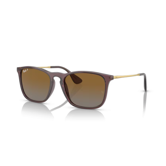 Ray-Ban Chris RB4187 6593T5 Polarized