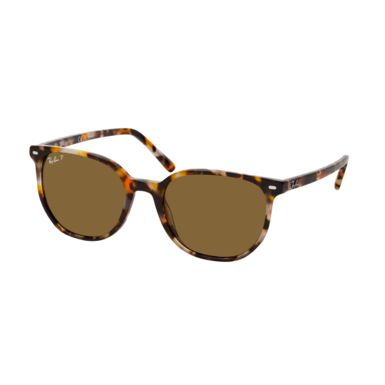 Ray-Ban Elliot RB2197 902/33