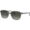 Ray-Ban  Leonard RB2193 138171