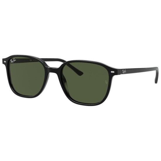 Ray-Ban  Leonard RB2193 901/31