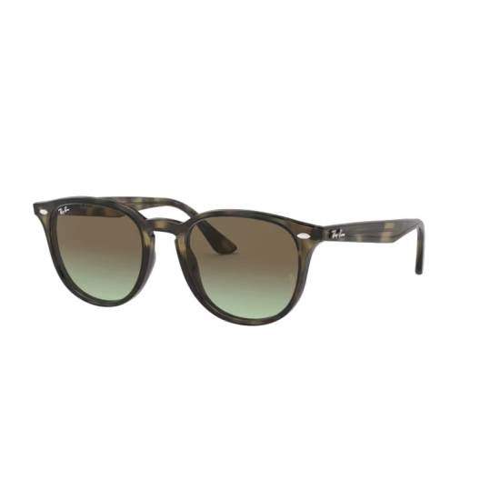 Ray-Ban RB4259 731/E8