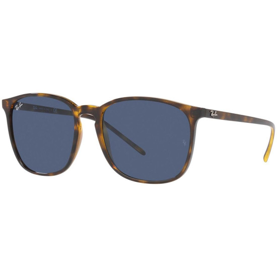 Ray-Ban RB4387 710/80