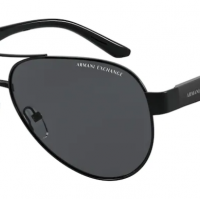 Armani Exchange AX2034S 600087 